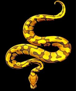 golden Royal Python paint by numbers