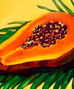 Papaya Illustration paint by numbers