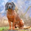 Scent Hound Dog paint by numbers