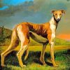 Scent Hounds Animal paint by number