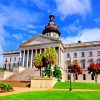 south carolina state house paint by numbers