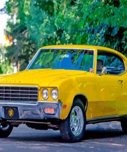yellow buick skylark paint by numbers