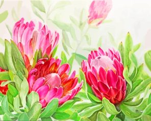 Blooming Pink Protea paint by numbers