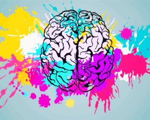 Colorful Splash Human Brain paint by numbers