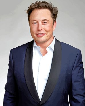 Elon Musk paint by numbers