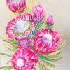 Pink Protea Plants Art Paint by numbers