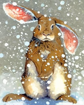 Rabbit In Snow paint by numbers