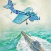 Royal Navy Plane Art paint by numbers