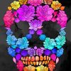 Colorful Skull paint by numbers