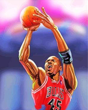 Michael Jordan Basketball paint by numbers