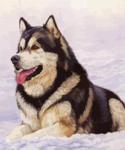 Alaskan Malamute In Snow Paint By Numbers