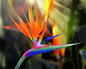 Bird of paradise flower- Paint By Numbers