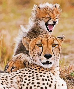 Cheetah With Her son Paint By Numbers