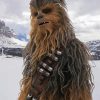 Chewbacca Dog Paint By Numbers