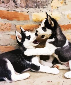 Husky puppies - Paint By Numbers