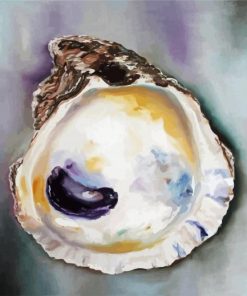Oyster shell Paint Paint By Numbers