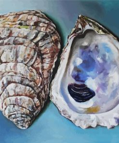 Oyster shells Paint By Numbers
