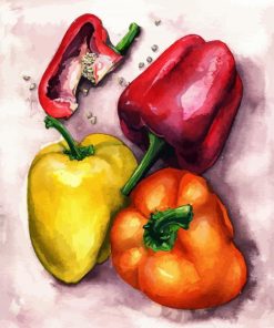 Painting Peppers Paint By Numbers