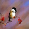 Chicadee Paint By Numbers