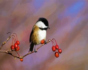 Chicadee Paint By Numbers