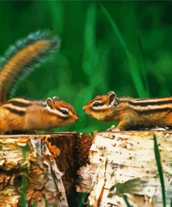 Chipmunks Paint By Numbers