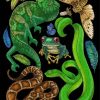 reptilse And Amphibians- Paint By Numbers