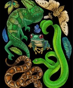 reptilse And Amphibians- Paint By Numbers