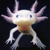 Little Axolotl Paint By Numbers