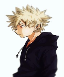 Bakugo Side Profile Paint By Numbers