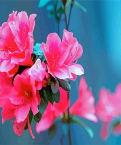 Pink Azaleas Paint By Numbers