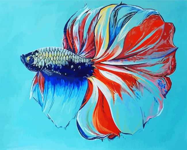 Siamese Fish Paint By Numbers