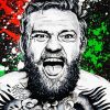 Conor Boxer Paint By Numbers