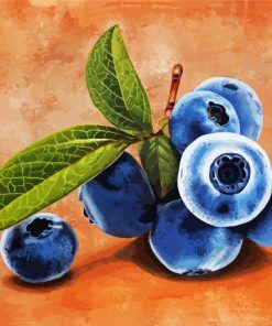 Berry Fruit Paint By Numbers