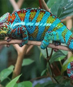 Tropical Chameleon Paint By Numbers