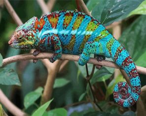 Tropical Chameleon Paint By Numbers