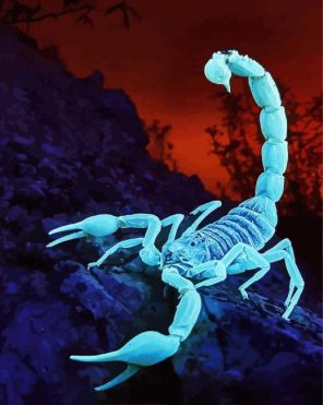 Glowing Scorpion Paint By Numbers