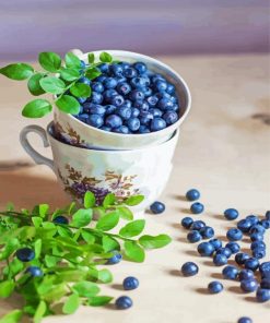 Blueberries In Cup Paint By Numbers