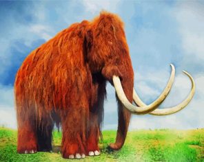 Brown Mammoth Paint By Numbers