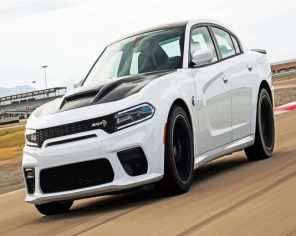 White Hellcat Paint By Numbers