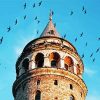 Aesthetic Galata Tower Paint By Numbers