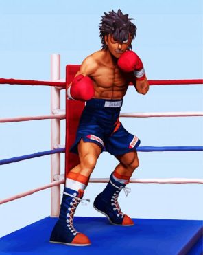 Ippo The Boxer Paint By Numbers