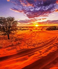 Kalahari Sahara Paint By Numbers