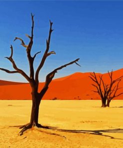 Africa Kalahari Desert Paint By Numbers