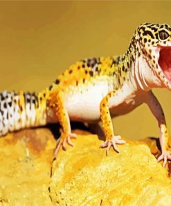 Leopard gecko Paint By Numbers