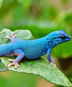 Blue Reptile Paint By Numbers