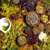 Natural Herbs Paint By Numbers