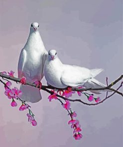 Pigeon Couple Paint By Numbers