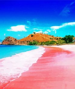 Pink Beach Paint By Numbers