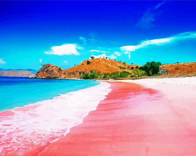 Pink Beach Paint By Numbers