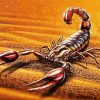 Scorpion Sahara Paint By Numbers